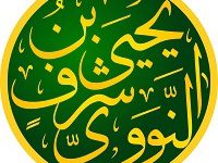 امام نووی